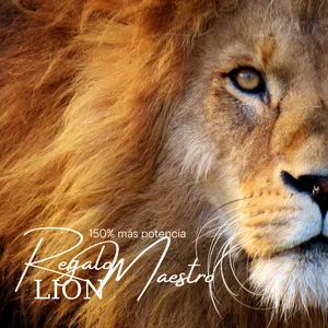 Imagen de portada para Curso online X23 - Ass