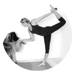 Imagem de capa para o Ebook Seja Flexível