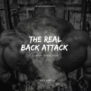 Imagem do curso THE REAL BACK ATTACK - 12 Semanas