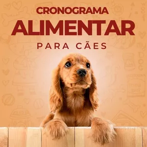 Imagem do curso Cronograma Alimentar para Cães