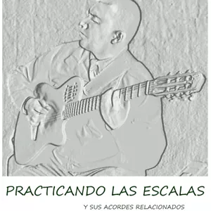 Imagen de portada para Ebook Practicando las Escalas en la Guitarra