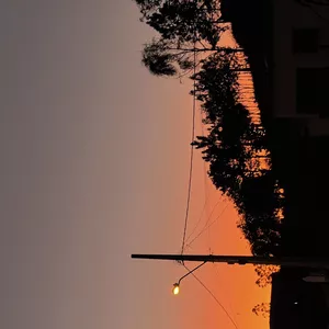 Imagem de capa para o Curso online Paisagens para web 