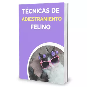 Imagen de portada para Ebook Técnicas de adiestramiento felino