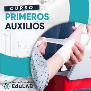 Imagen de portada para Curso online Curso de Primeros auxilios
