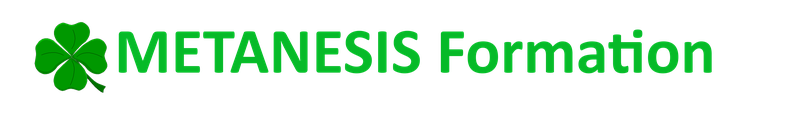 METANESIS Académie logo
