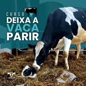 Imagem de capa para o Curso online Curso - DEIXA A VACA PARIR