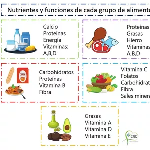 Imagen de portada para Ebook alimentos y sus funciones