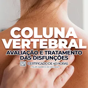 Curso Curso de Avaliação e Tratamento das Disfunções da Coluna Vertebral