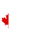 The Canadian Labour Training Institute