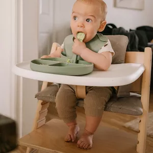 Imagem de capa para o Curso online Curso de Introdução Alimentar para Pais e Cuidadores