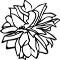 The Aromatherapy Company International Training Centre logo