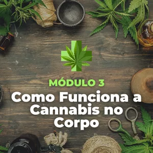 Imagem de capa para o Ebook Introdução à Cannabis Medicinal: Módulo 3 - Como Funciona a Cannabis no Corpo
