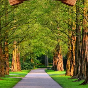 Imagem de capa para o Ebook ENSINANDO COM EXCELÊNCIA : Um Guia Prático para Professores da EBD.