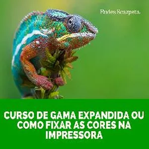 Imagem do curso Curso de Gama Expandida ON-LINE