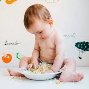 Imagem de capa para o Ebook Papinha - Introdução Alimentar