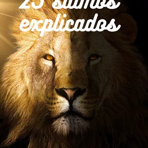 Imagem de capa para o Ebook 25 salmos explicados - vol 1