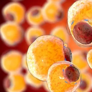 Imagen de portada para Curso online Curso 4. METABOLISMO DE LÍPIDOS