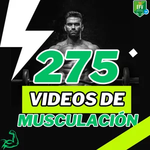 Imagen de portada para Curso online VIDEOS DE MUSCULACION