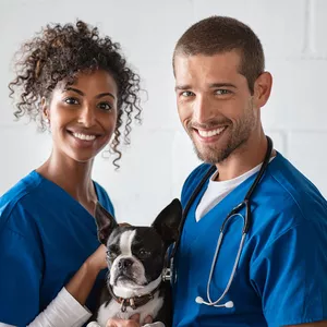 Imagem de Curso online de Auxiliar de Veterinário criado por ACAD Engenharia Educação Profissional na hotmart