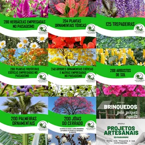 Imagem de capa para o Ebook COMBO 05 eBooks: Todas apostilas de espécies vegetais + Projetos artesanais + Brinquedos para parques infantis