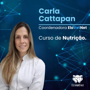 Imagem de capa para o Curso online Curso Nutrição Cães e Gatos