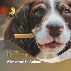 Imagen de portada para Curso online MENTORING ALIMENTACIÓN NATURAL