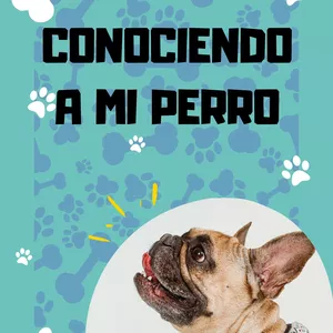 Imagen de portada para Curso online CONOCIENDO A MI PERRO
