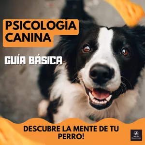 Imagen de portada para Ebook Guía sobre Psicología Canina