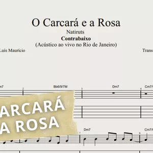 Imagem de capa para o Ebook O Carcará e a Rosa - Natiruts: Transcrição p/ Contrabaixo c/ Tablatura, Partitura e Cifra.