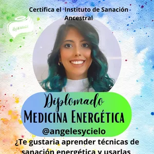Imagen de portada para Curso online Diplomado Médico energético
