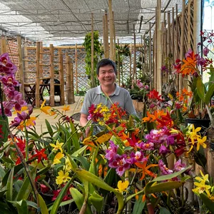 Imagem de capa para o Curso online Doutor de Orquídea