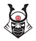 Budo Boxing 