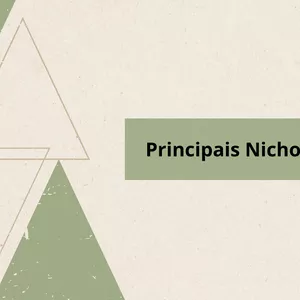 Imagem de capa para o Ebook Principais Nichos de PLR