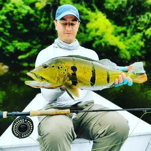 Curso de pesca com fly do Thiago Zanetti.