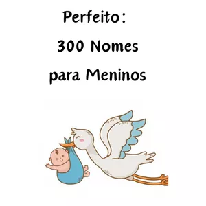 Imagem de capa para o Ebook 300 NOMES MASCULINOS. O GUIA PERFEITO