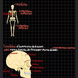 Imagem de capa para o Ebook Apostila de anatomia do sistema esquelético 