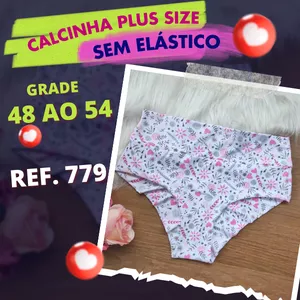 Imagem de capa para o Curso online Molde Calcinha sem elástico Plus Size - Ref. 779 + Aula (Grade 48 ao 54)