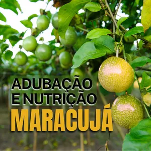 Imagem de capa para o Curso online Profissional em Adubação e Nutrição de Maracujá 