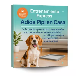 Imagen de portada para Curso online Entrenamiento Express Adiós Pipí en Casa
