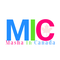 MIC ACADEMY