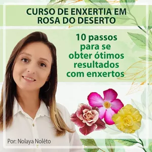 Curso de Enxertia em Rosa do Deserto
