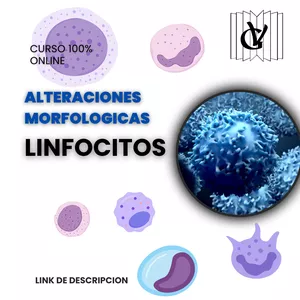 Imagen de portada para Curso online Alteraciones morfologicas: Linfocitos