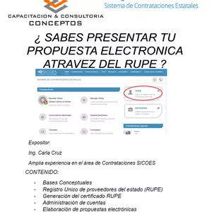 Imagen de portada para Curso online CURSO RUPE SICOES BASICO