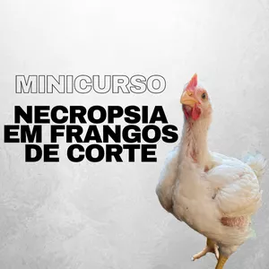 Imagem de capa para o Curso online Minicurso de necropsia em frangos de corte