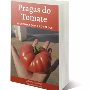 Imagem do curso Pragas do Tomate