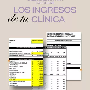 Imagen de portada para Ebook Excel Básico para Ordenar y Calcular los Ingresos de tu Clínica