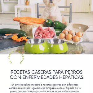 Imagen de portada para Ebook Recetas caseras para perros con enfermedades hepáticas