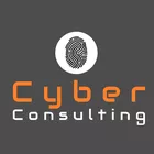 Cyber Consulting