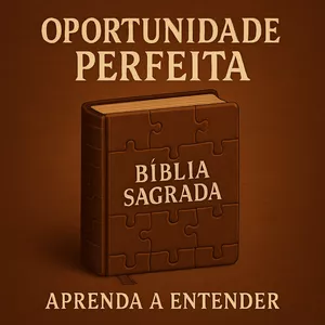 Imagem de capa para o Curso online Oportunidade Perfeita