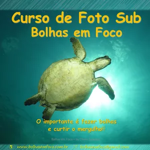 Imagem de capa para o Curso online Fotografia subaquática - by Bolhas em Foco
